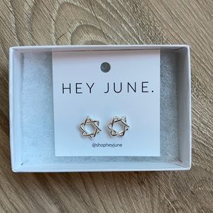 Hey June Chanukah Earrings